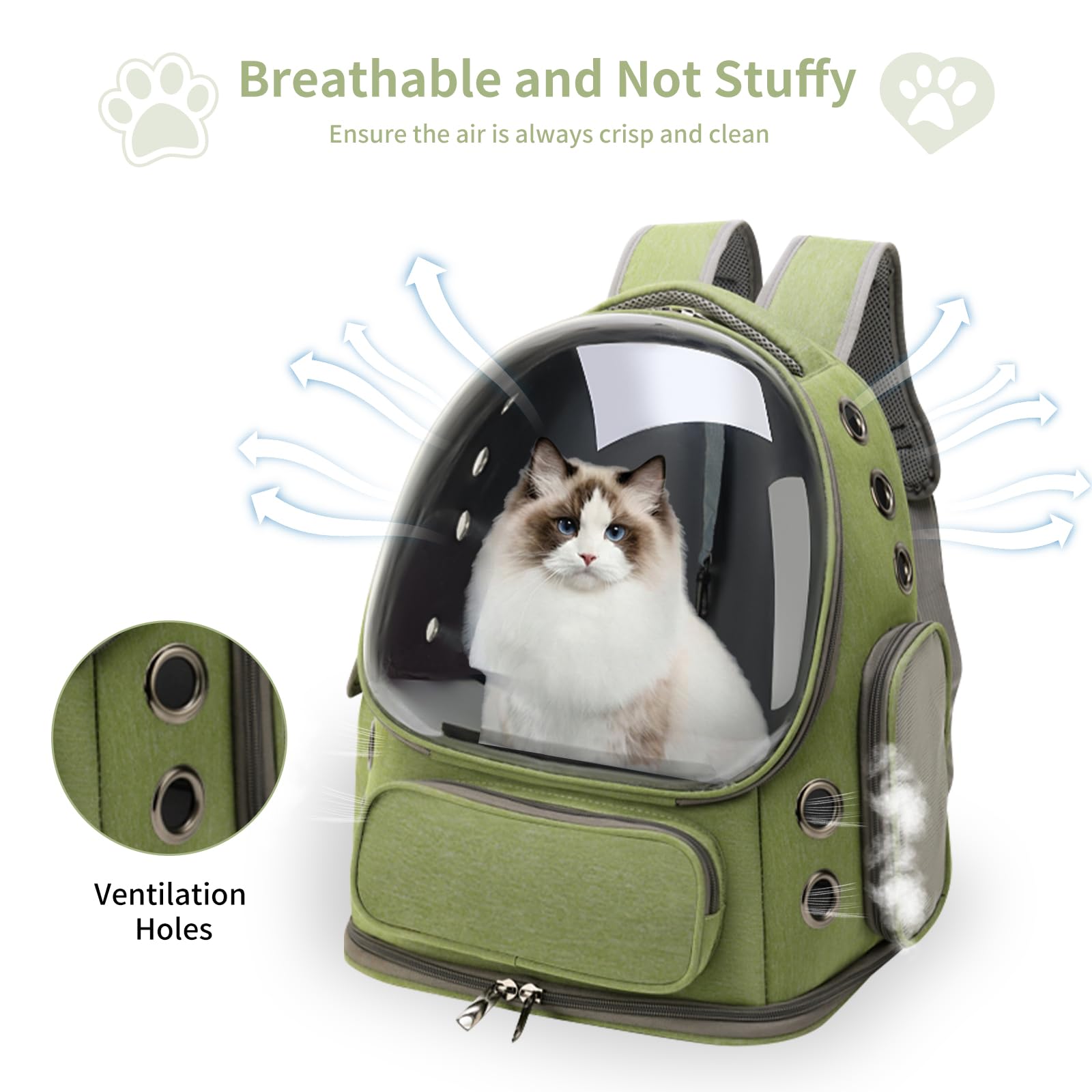 กระเป๋าเป้สำหรับใส่แมว ระบายอา - Foldable Backpack Small บทวิจารณ์และราคา